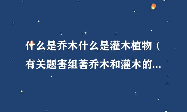 什么是乔木什么是灌木植物（有关题害组著乔木和灌木的划分标准）