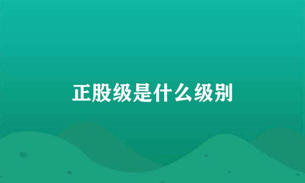 正股级是什么级别