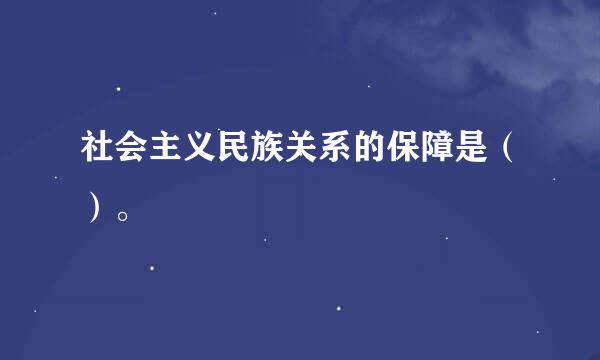 社会主义民族关系的保障是（）。