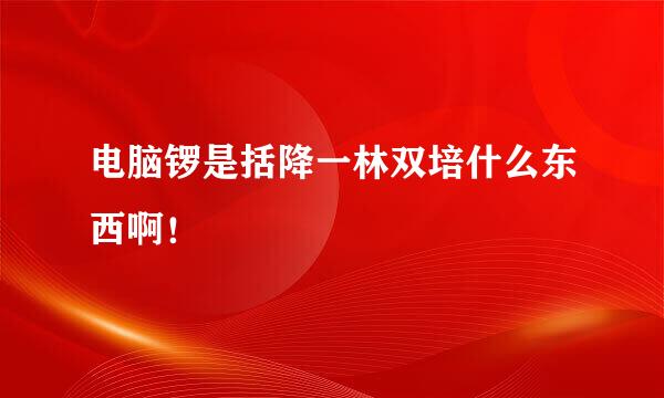 电脑锣是括降一林双培什么东西啊！