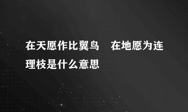 在天愿作比翼鸟 在地愿为连理枝是什么意思