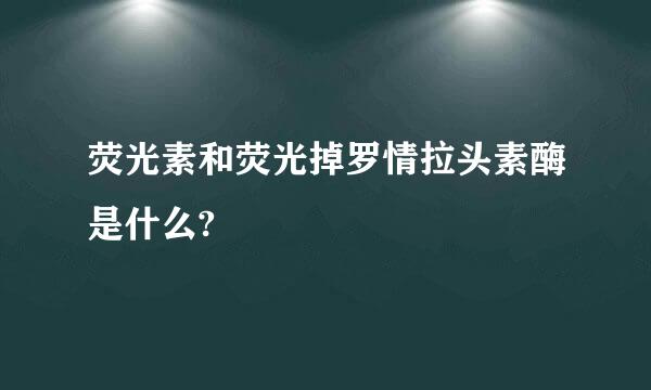 荧光素和荧光掉罗情拉头素酶是什么?