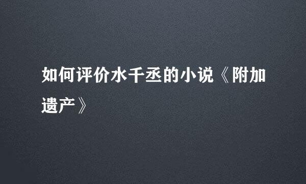 如何评价水千丞的小说《附加遗产》