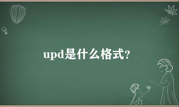 upd是什么格式？