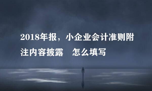 2018年报，小企业会计准则附注内容披露 怎么填写