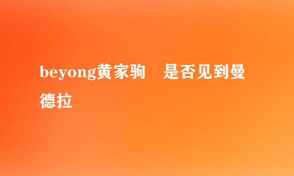 beyong黄家驹 是否见到曼德拉