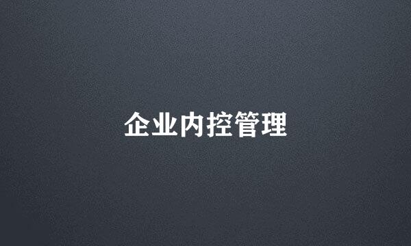 企业内控管理