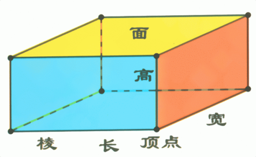 怎么看长方体展开图 怎么看长宽高