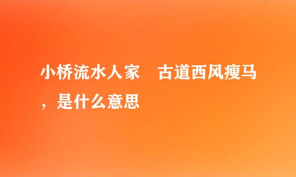 小桥流水人家 古道西风瘦马，是什么意思