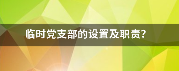 临时党支部的设置及职责？