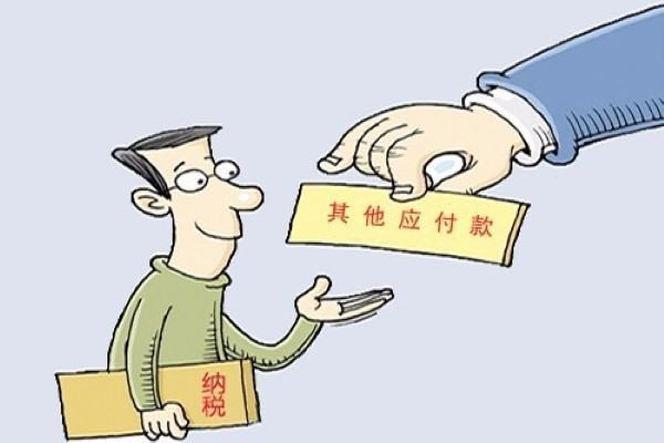 其他应交款与其他应付款有什么不同?