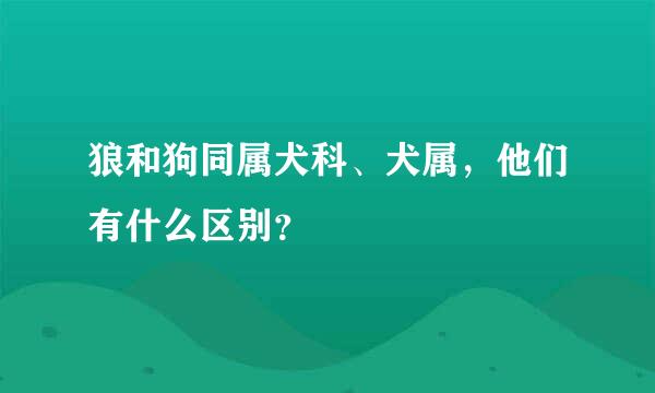 狼和狗同属犬科、犬属，他们有什么区别？