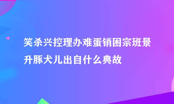 笑杀兴控理办难蛋销困宗班景升豚犬儿出自什么典故