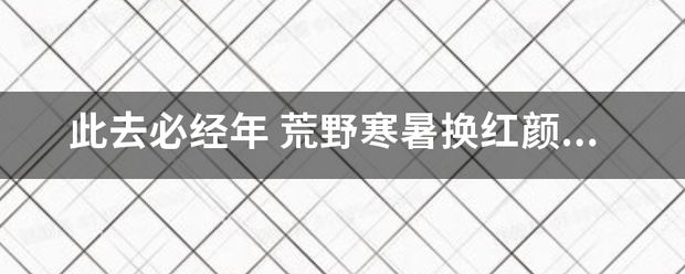 此去必经年 荒野寒暑换红颜   往训它顺含周外委高还理事散云烟 十寸光阴换一钱