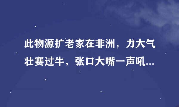 此物源扩老家在非洲，力大气壮赛过牛，张口大嘴一声吼，吓得百兽都发拌