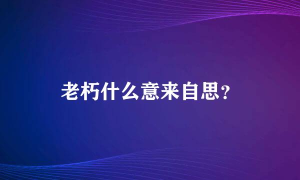 老朽什么意来自思？