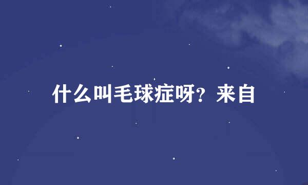 什么叫毛球症呀？来自