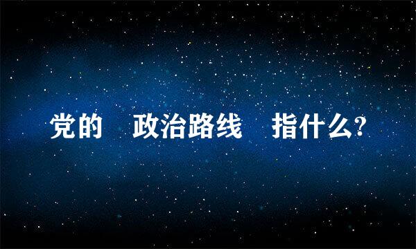 党的 政治路线 指什么?