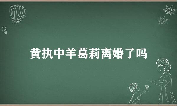 黄执中羊葛莉离婚了吗