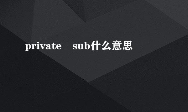 private sub什么意思