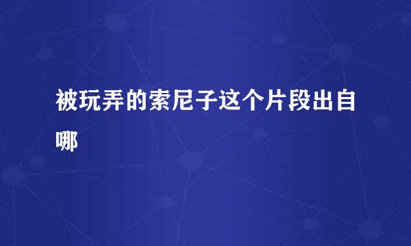 被玩弄的索尼子这个片段出自哪