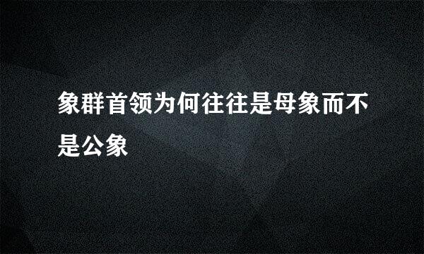 象群首领为何往往是母象而不是公象