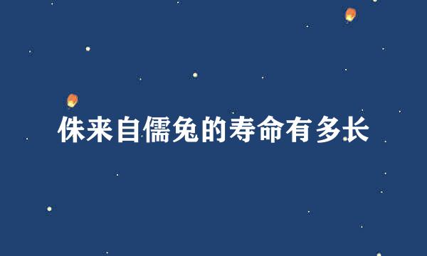 侏来自儒兔的寿命有多长