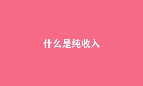 什么是纯收入