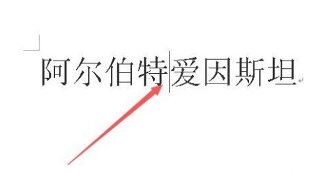 外来自国名字中间的点怎么打出来？