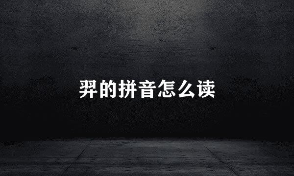 羿的拼音怎么读