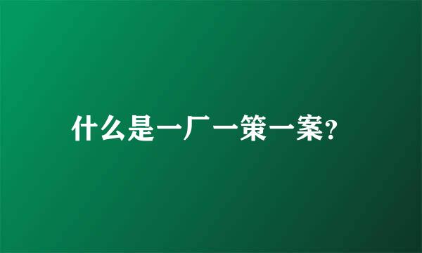 什么是一厂一策一案？