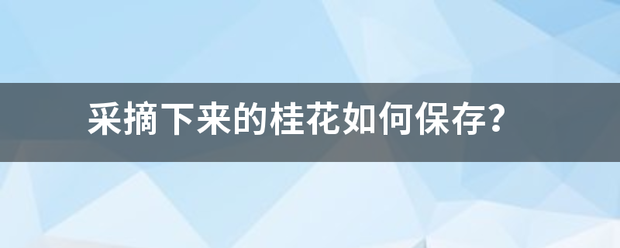 采摘来自下来的桂花如何保存？