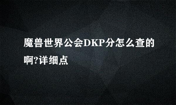 魔兽世界公会DKP分怎么查的啊?详细点