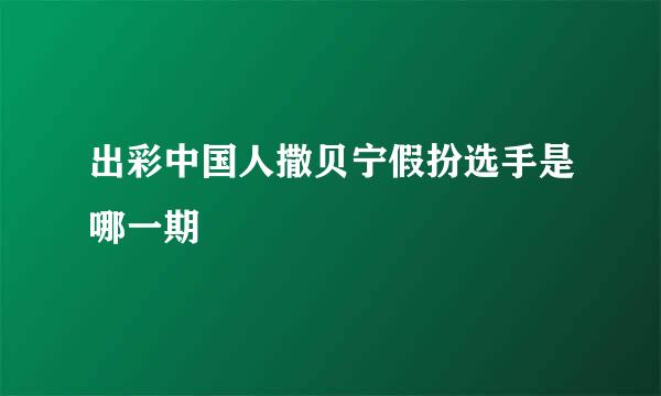 出彩中国人撒贝宁假扮选手是哪一期