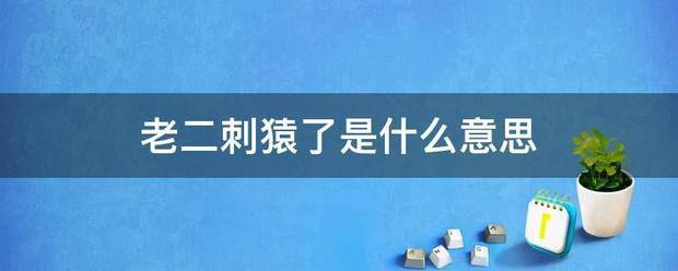 老二刺猿了是什么意思