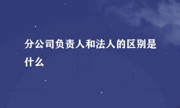 分公司负责人和法人的区别是什么