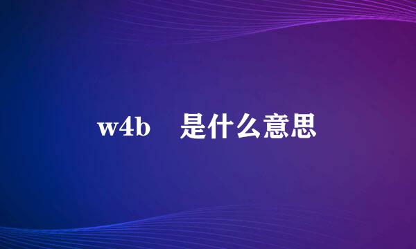 w4b 是什么意思