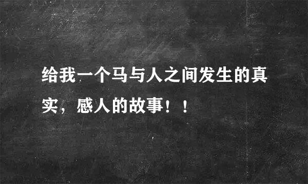 给我一个马与人之间发生的真实，感人的故事！！