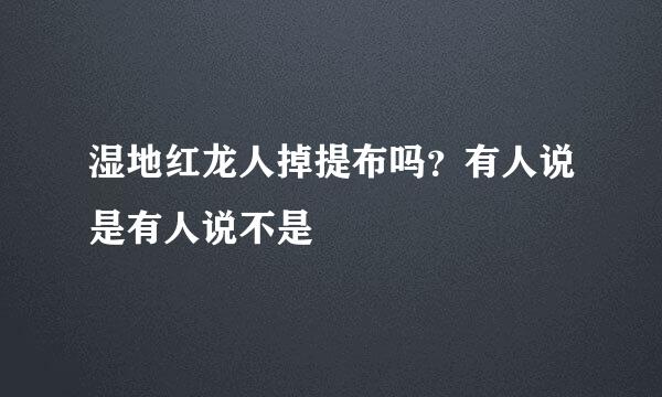 湿地红龙人掉提布吗？有人说是有人说不是