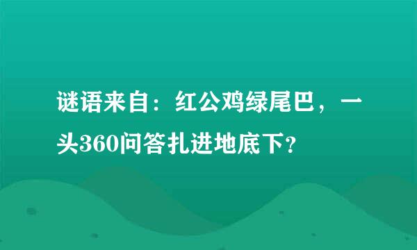 谜语来自：红公鸡绿尾巴，一头360问答扎进地底下？