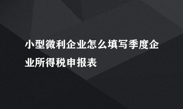 小型微利企业怎么填写季度企业所得税申报表