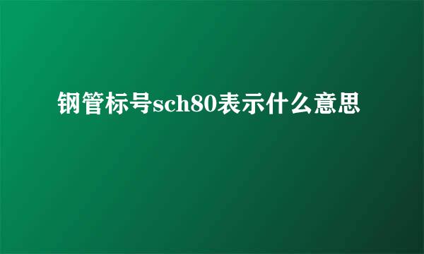 钢管标号sch80表示什么意思