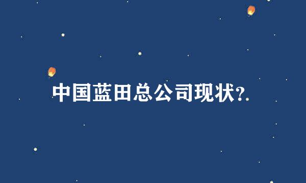 中国蓝田总公司现状？