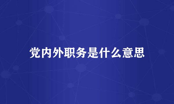 党内外职务是什么意思