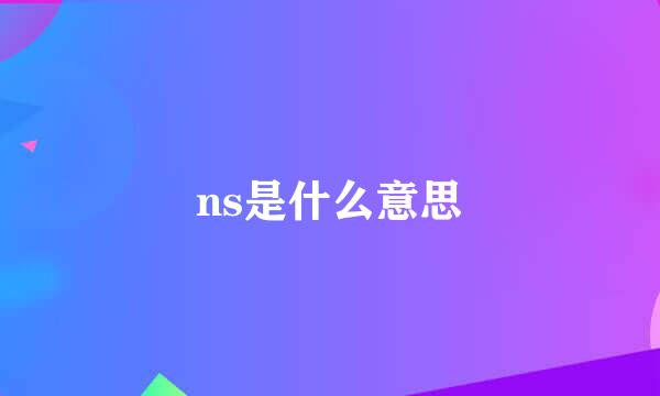 ns是什么意思