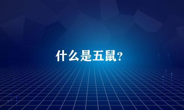 什么是五鼠？