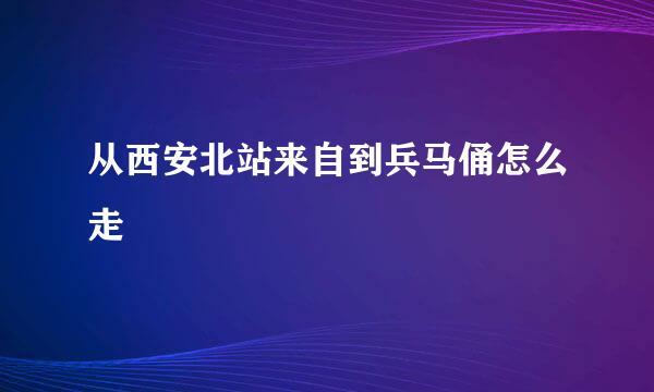 从西安北站来自到兵马俑怎么走