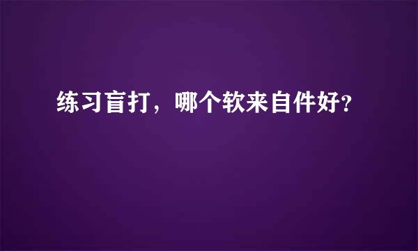 练习盲打，哪个软来自件好？