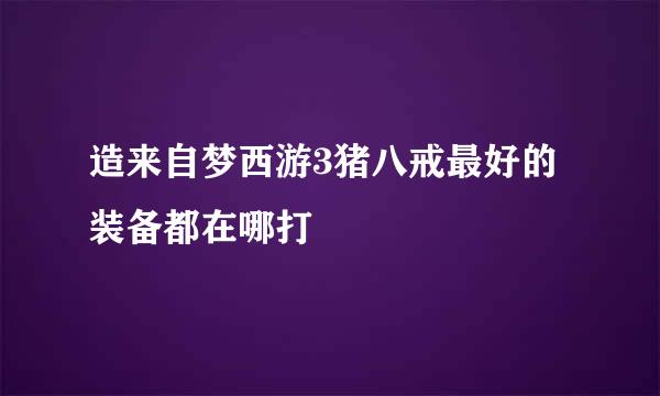 造来自梦西游3猪八戒最好的装备都在哪打