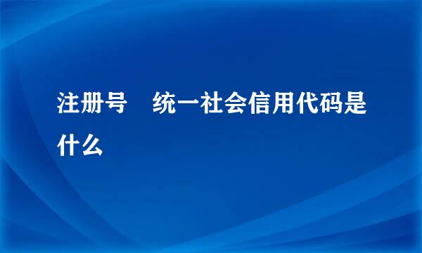 注册号 统一社会信用代码是什么